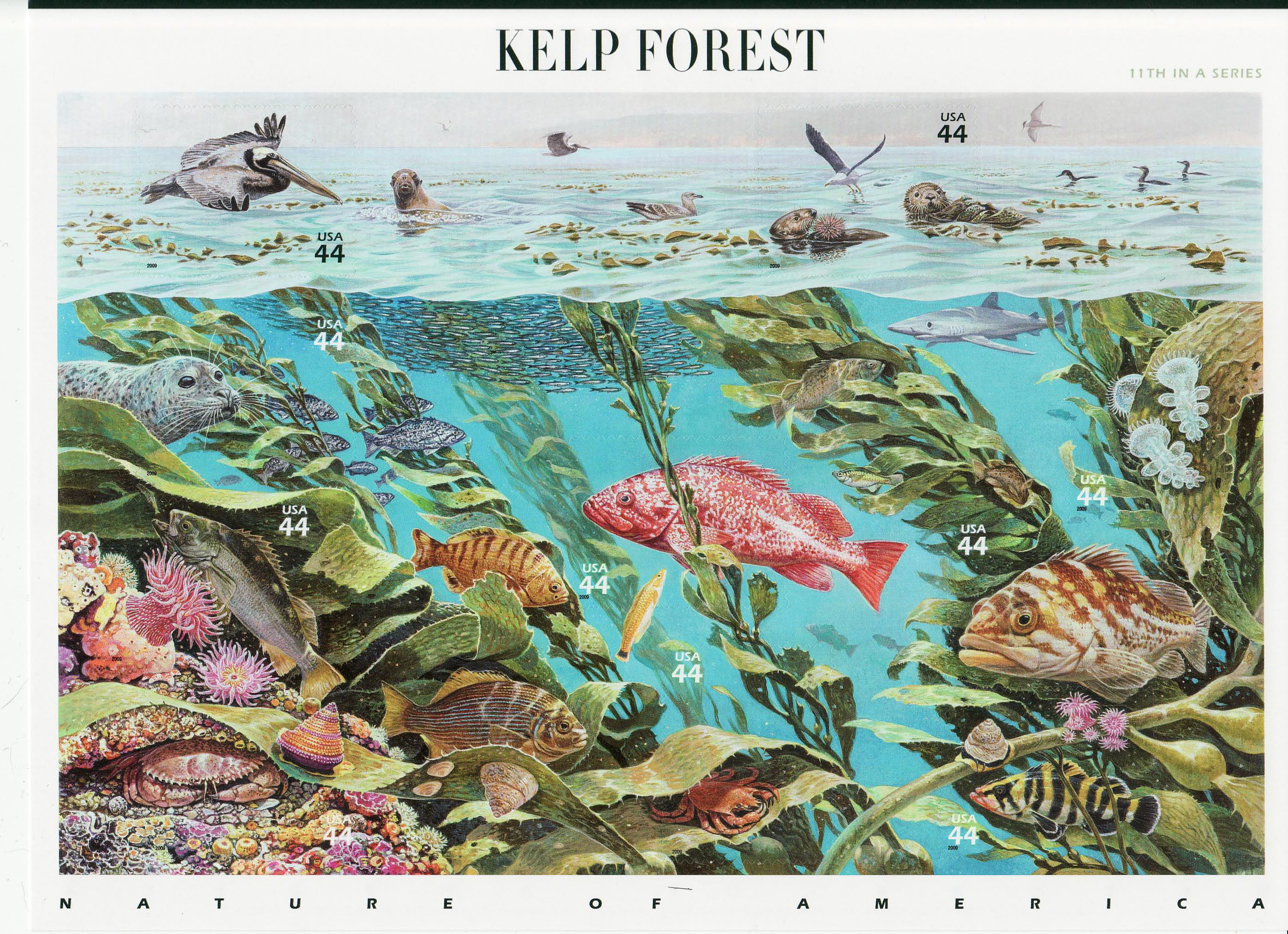 Kelp Forest stamp sheet