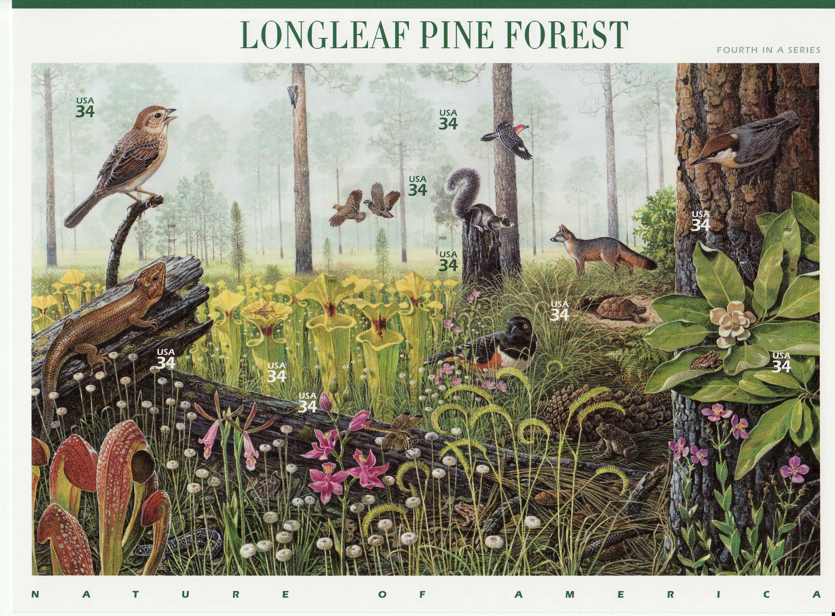 Longleaf Pine Forest stamp sheet
