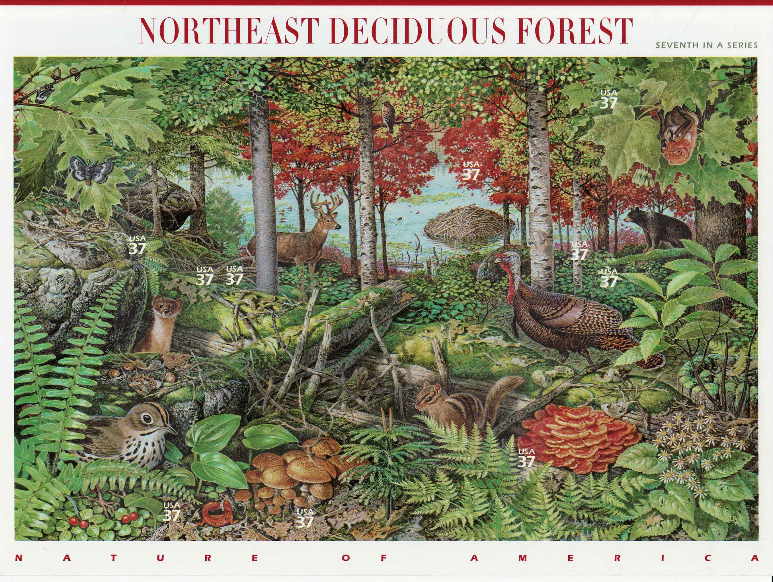 Northeast Deciduous Forest stamp sheet]