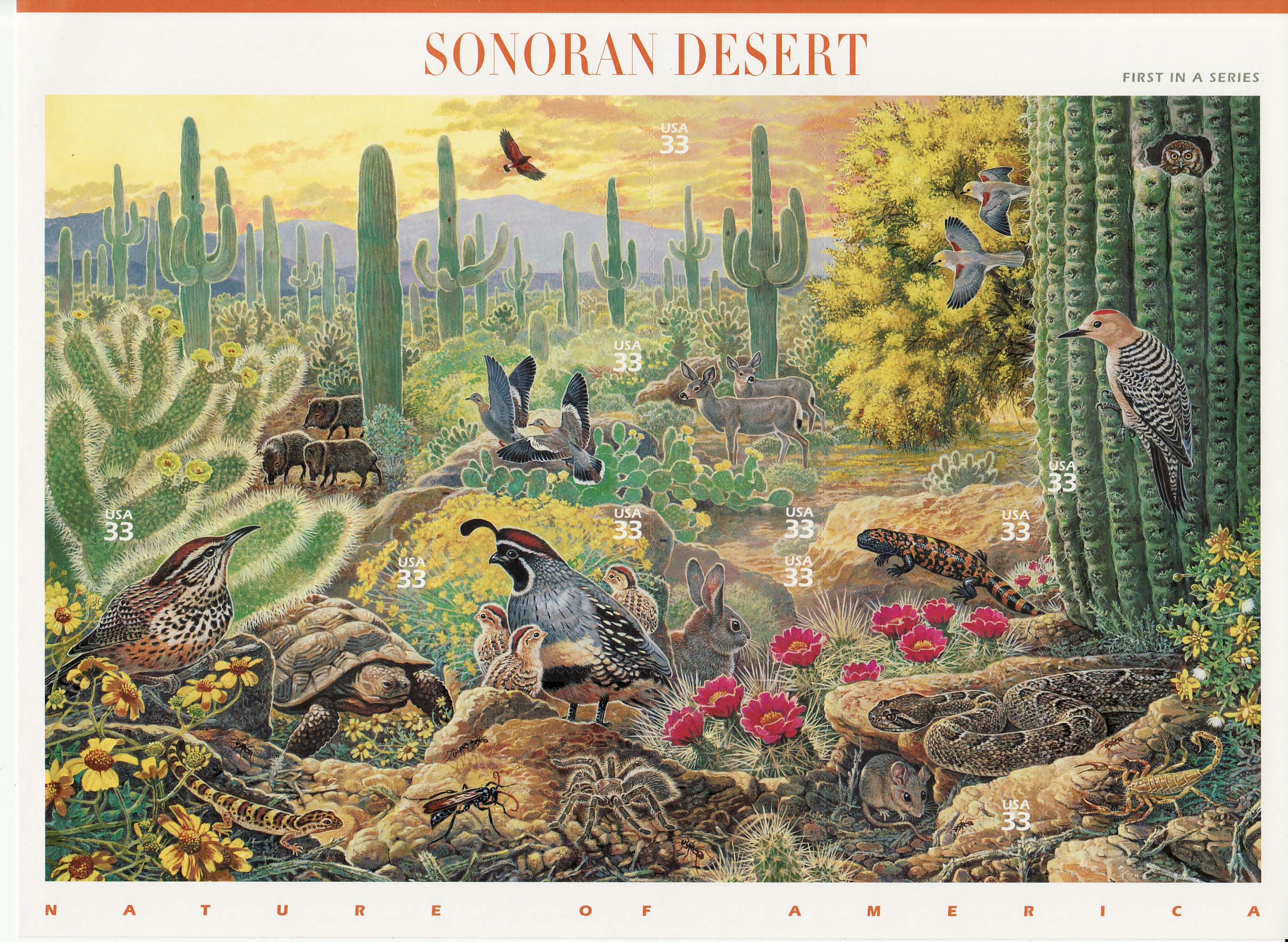 Sonoran Desert stamp sheet