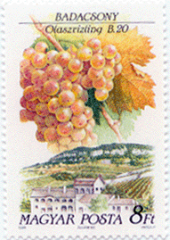 Hungary grape stamp, 8 ft.